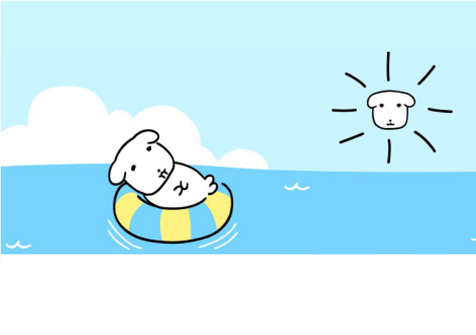 8월 성수·홍대 올리브영 팝업 총정리｜가나디부터 포켓몬까지!