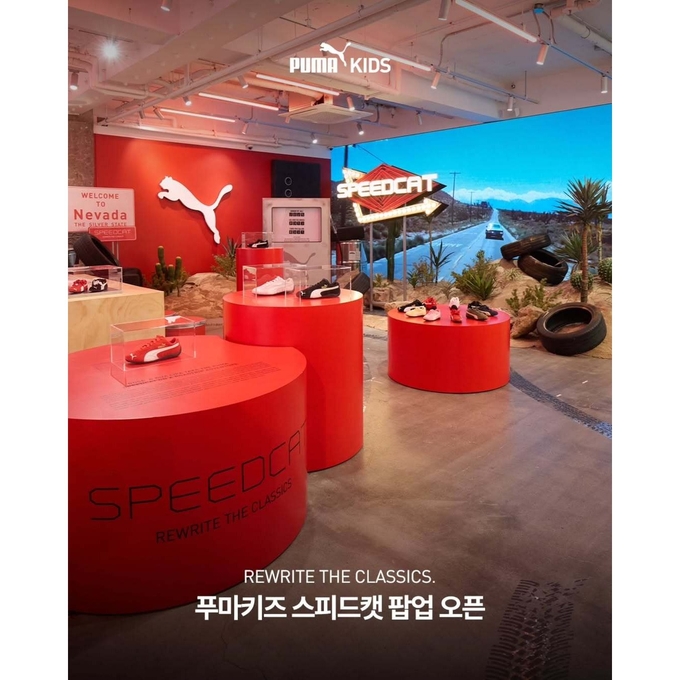 상세 이미지-11919