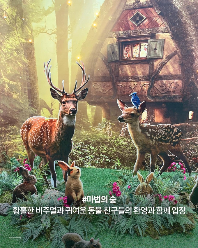 상세 이미지-11465