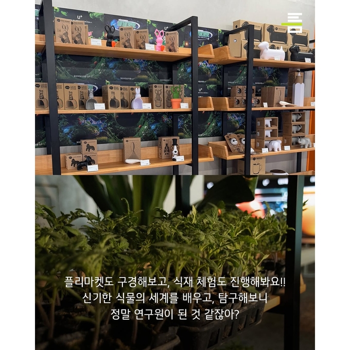 상세 이미지-12898