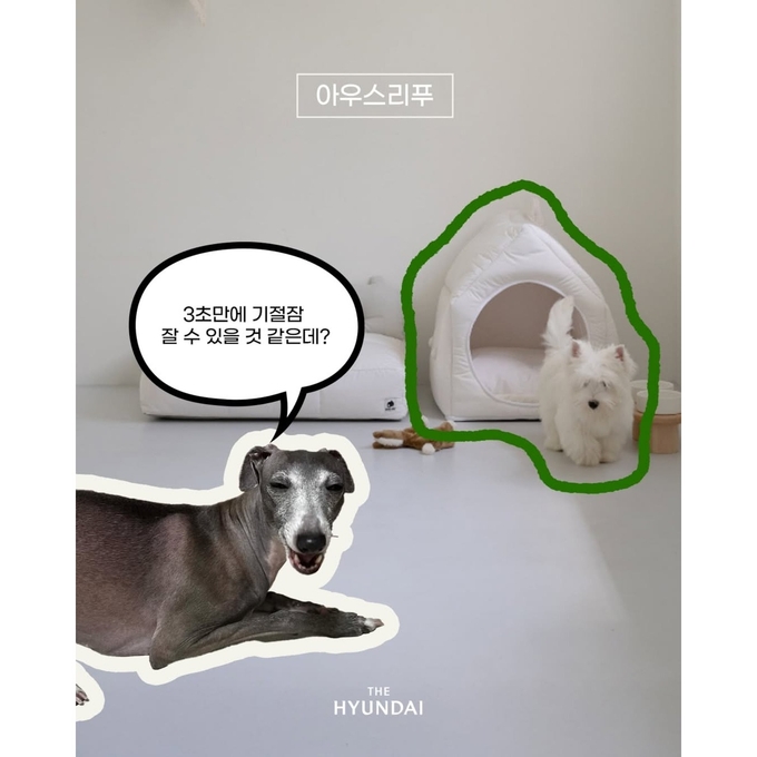 상세 이미지-14644